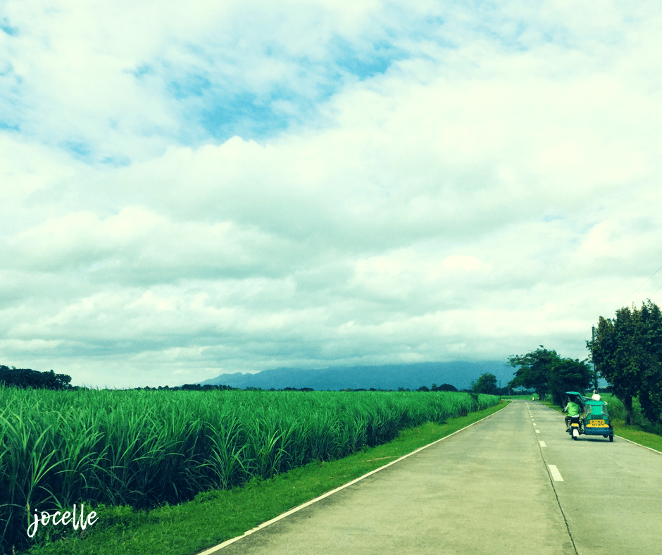 silay1