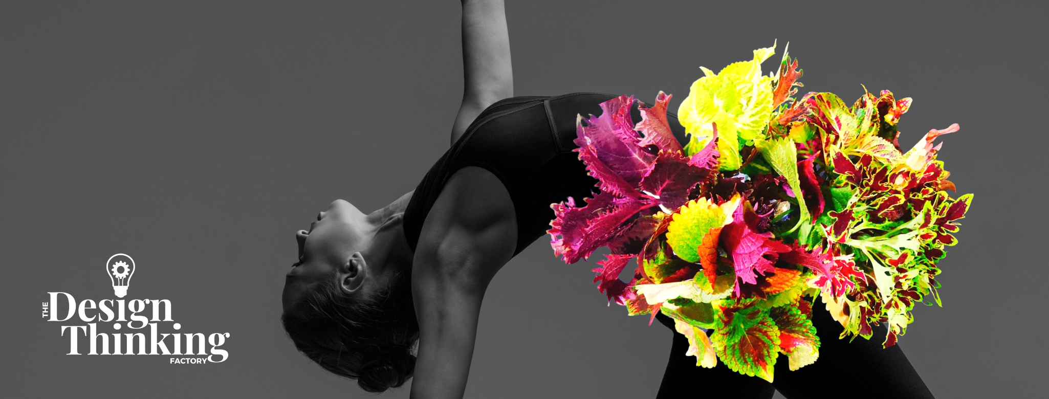 Dancing Coleus: An Inspirational Art
